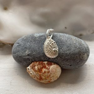 Abalone Charm