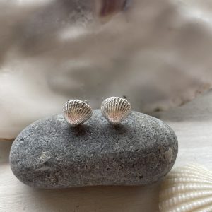 Clam Stud Earrings