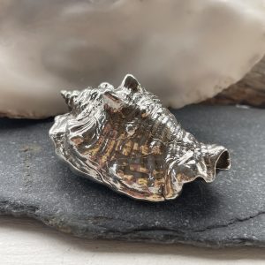 Fighting Conch Shell Sculpture