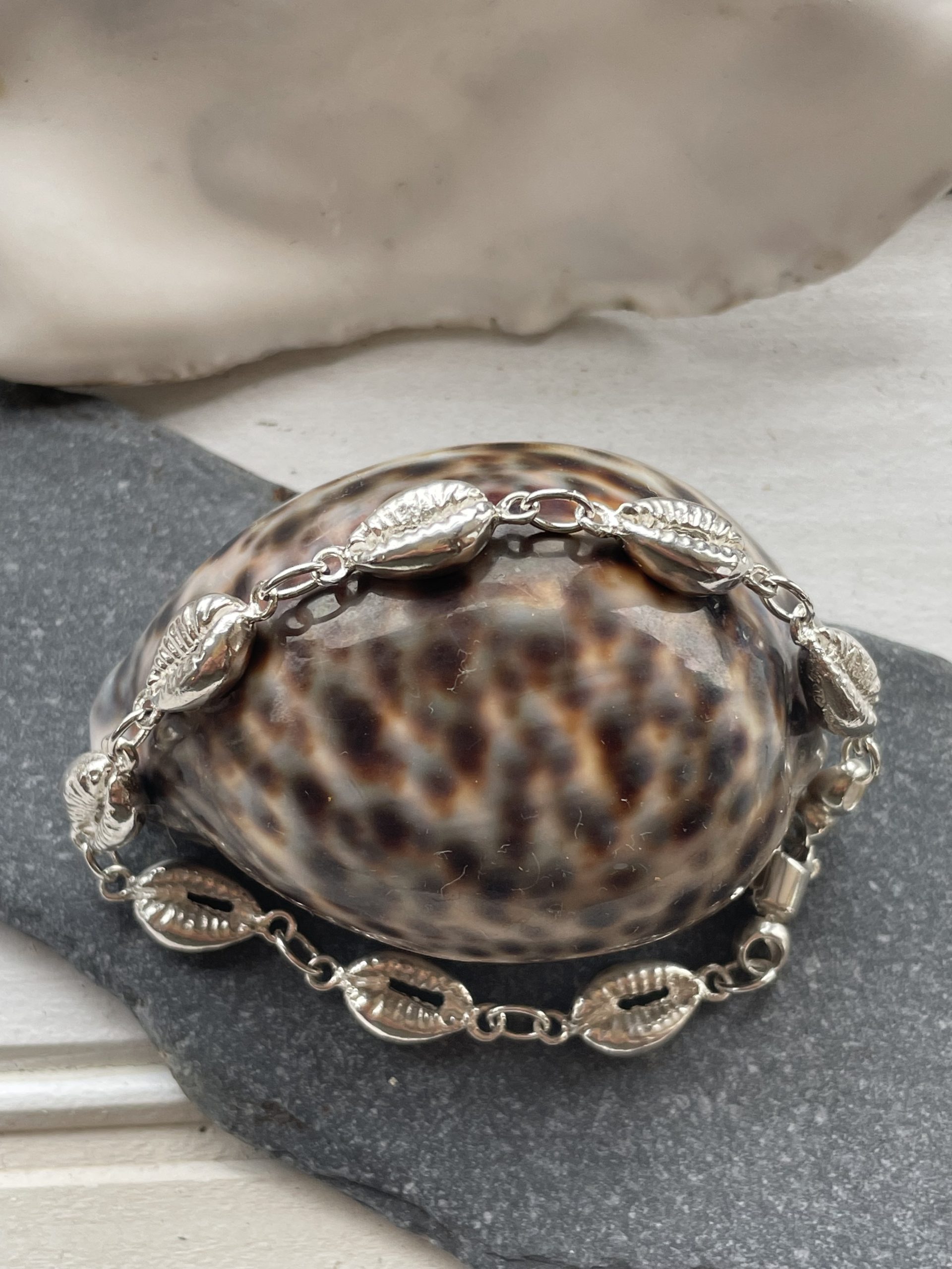 Half Cowrie Bracelet