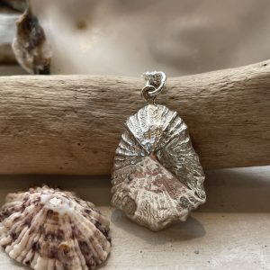 Limpet Pendant Medium