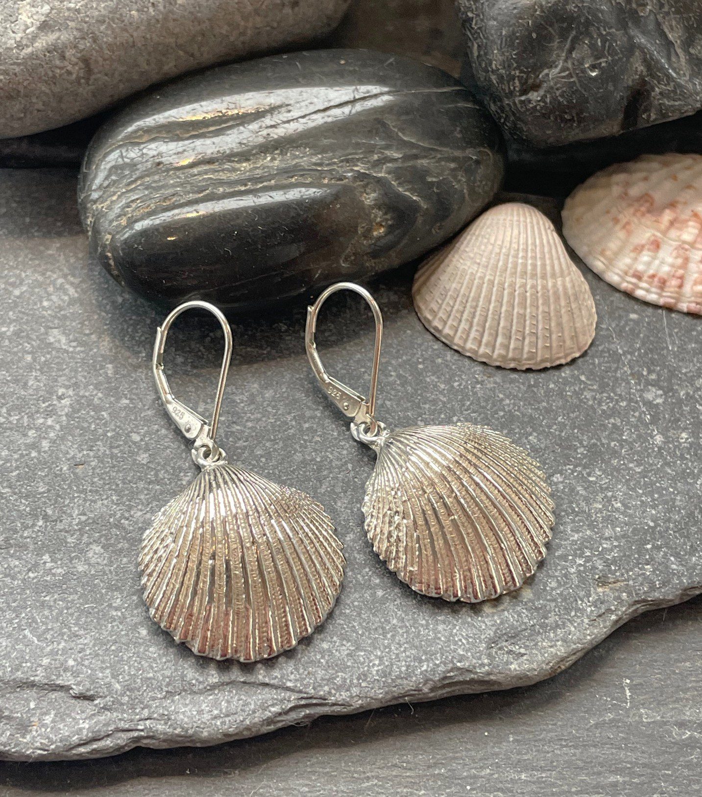 clam small earrings