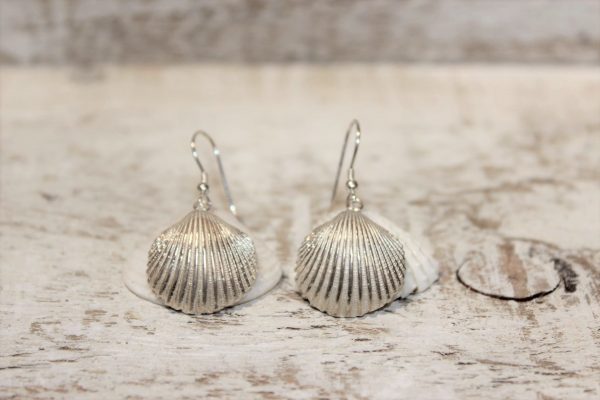 clam small drop earrings
