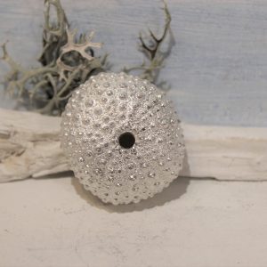 Urchin  Paperweight