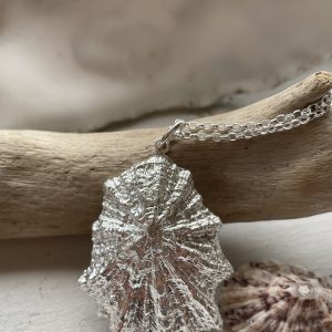 Limpet Pendant large